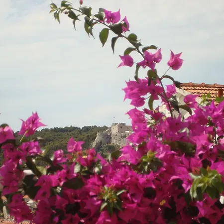 Iris Apartament