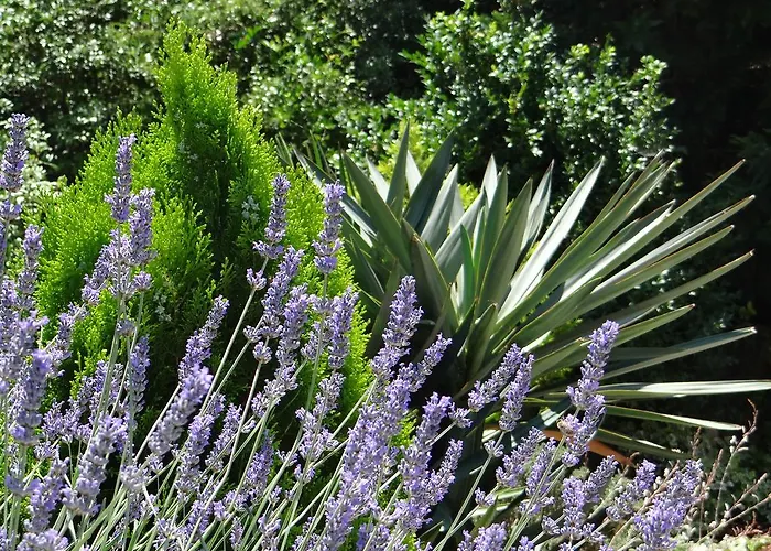 아파트 아파트먼트 아이리스 *