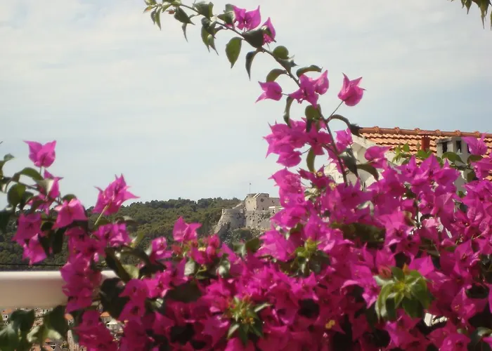 아파트먼트 아이리스 아파트