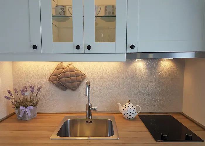 아파트먼트 아이리스 흐바르